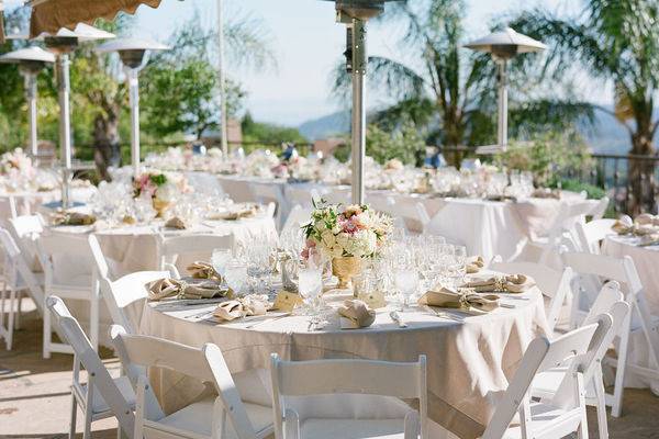 Table setup with centerpiece