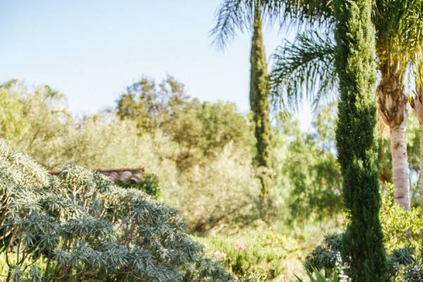 Outdoor wedding ceremony