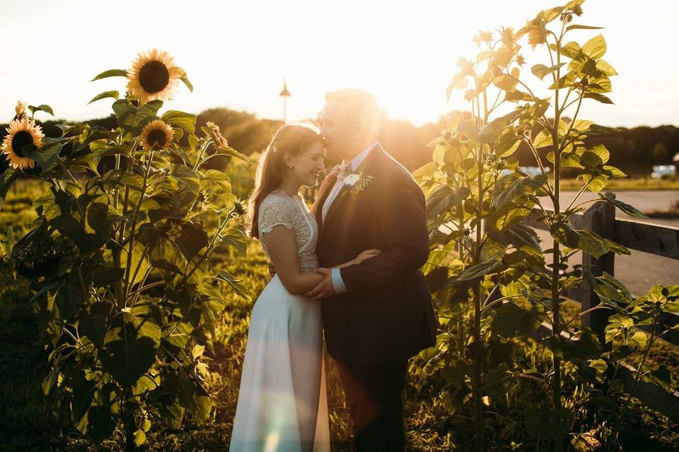 Standing in the sunflowers