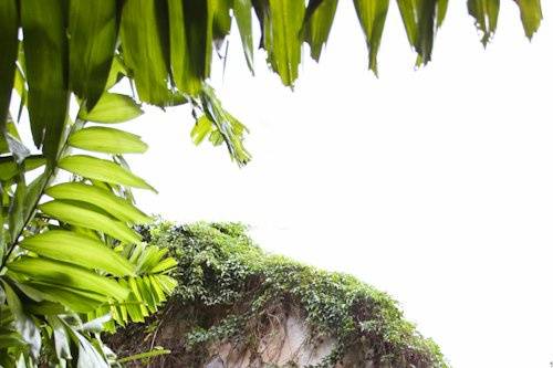 Natalie Brown Photography