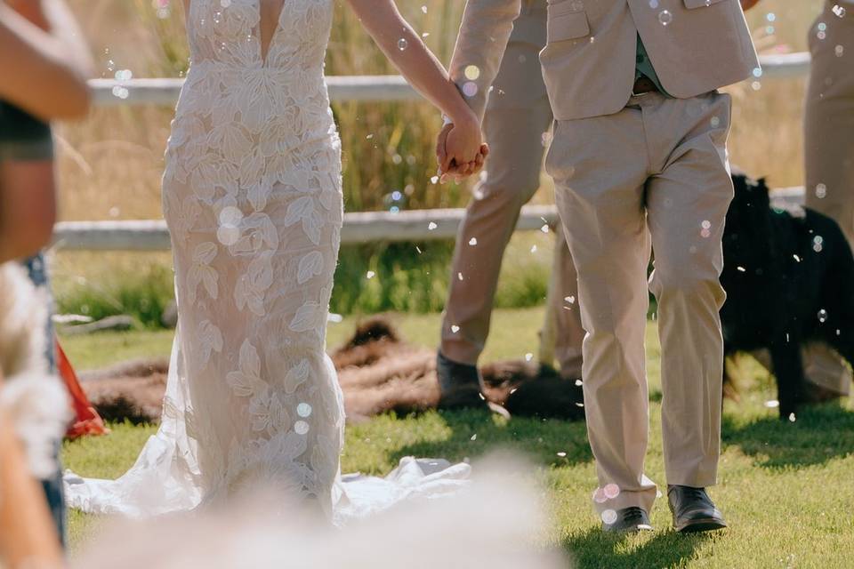 A+C Wedding Ceremony