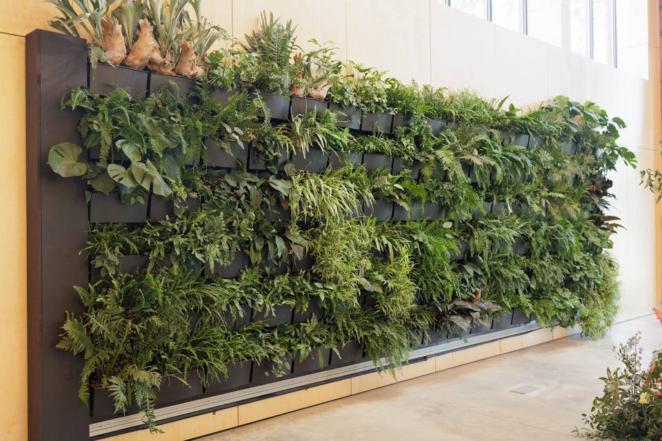 The Living Wall at The Gardens