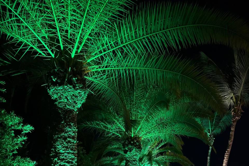 Outdoor Uplights