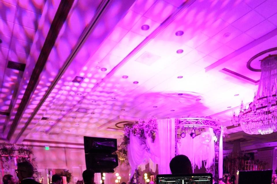 Pink Gala