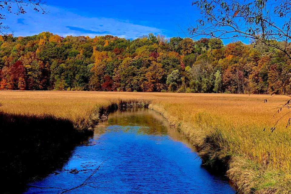 Irondequoit Creek