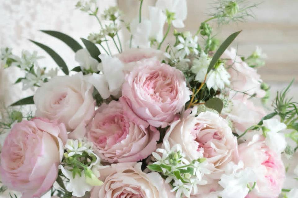 Keira Garden Roses