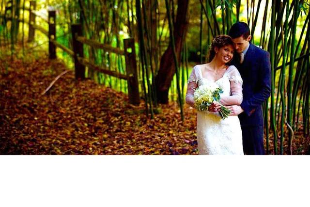 Michelle & Josh Bamboo Forest