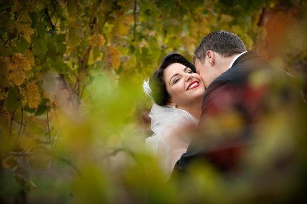 Laura Ashbrook Photography