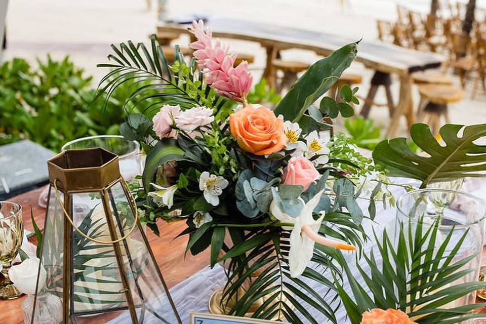 SunHorse Weddings- Destinations