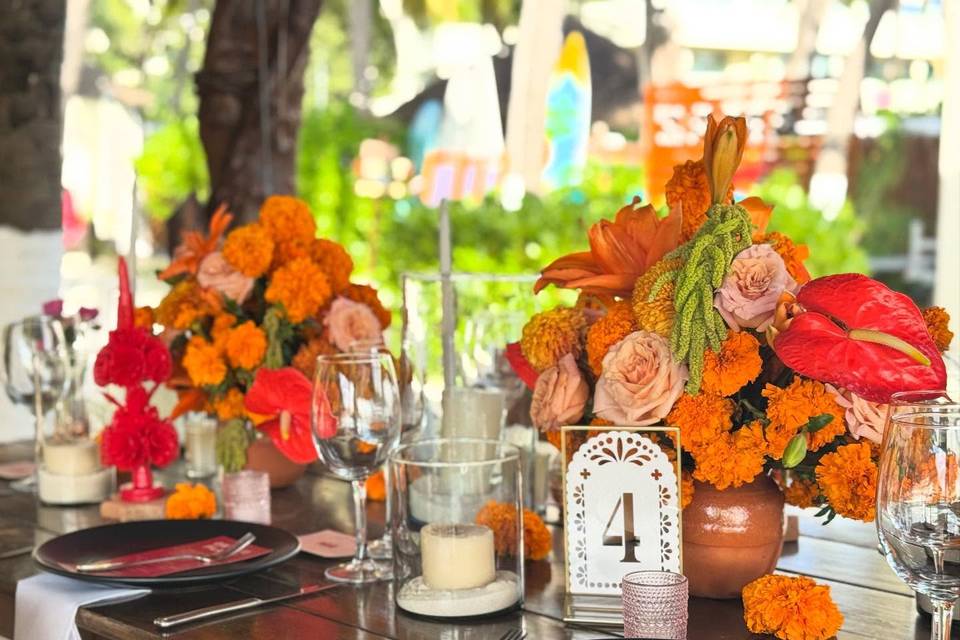SunHorse Weddings- Destinations