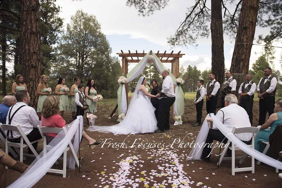 Forest wedding 2016