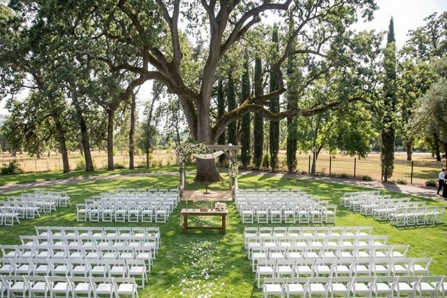 Ceremony at the Oak