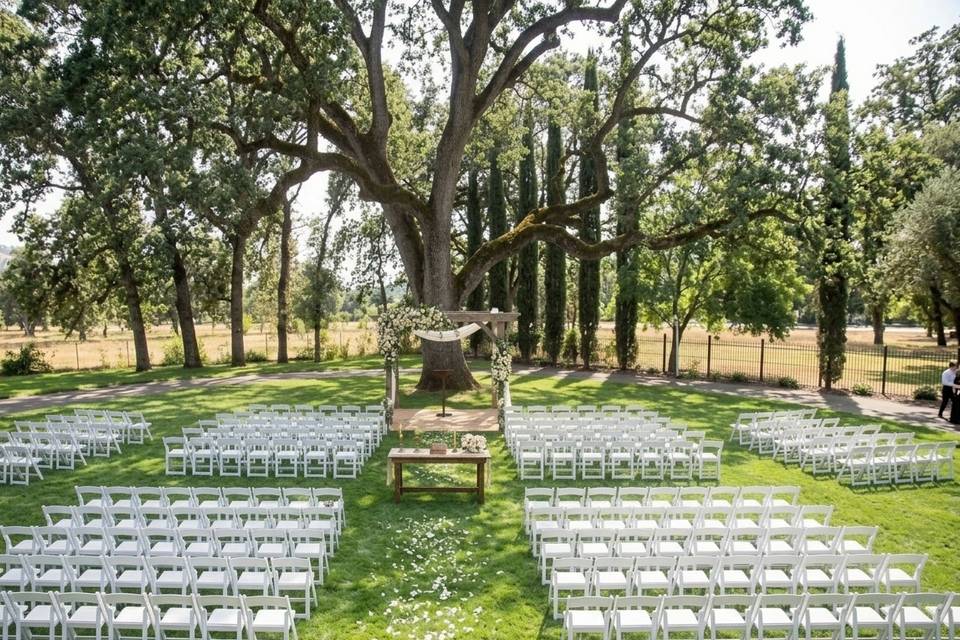 Ceremony at the Oak