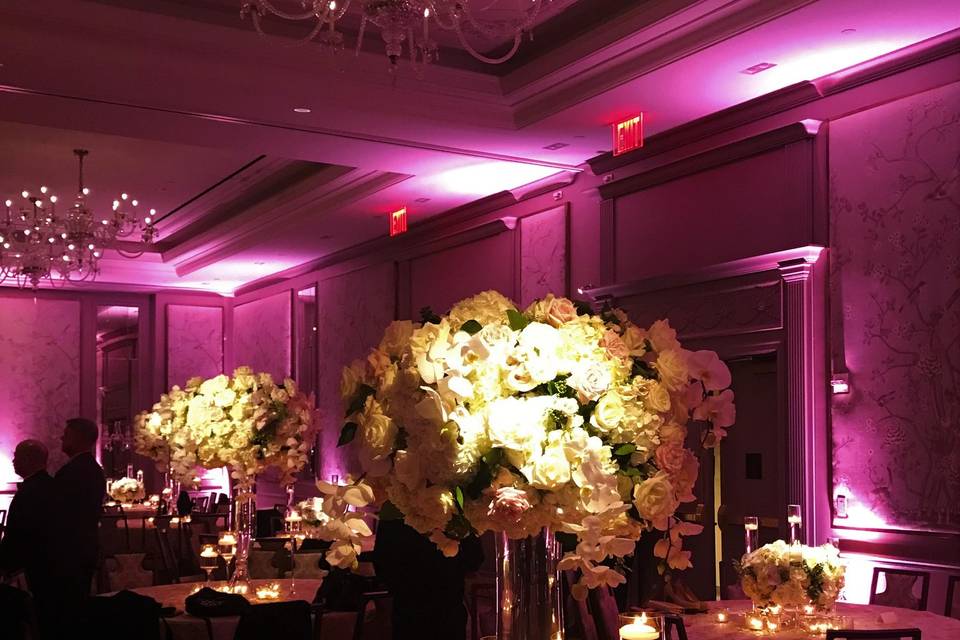 Centerpiece Lighting