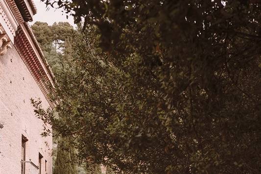 Elegant wedding in Granada