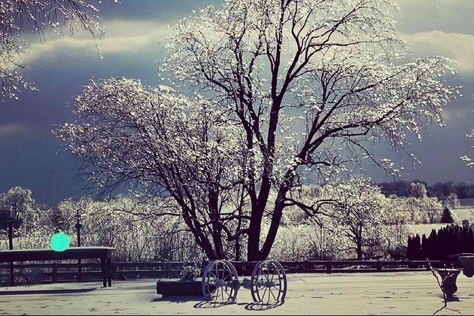 Frozen scene at the farm