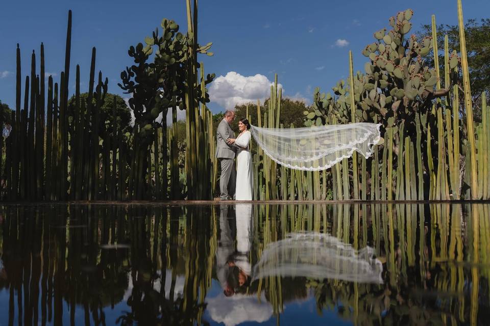 Jardin botanico