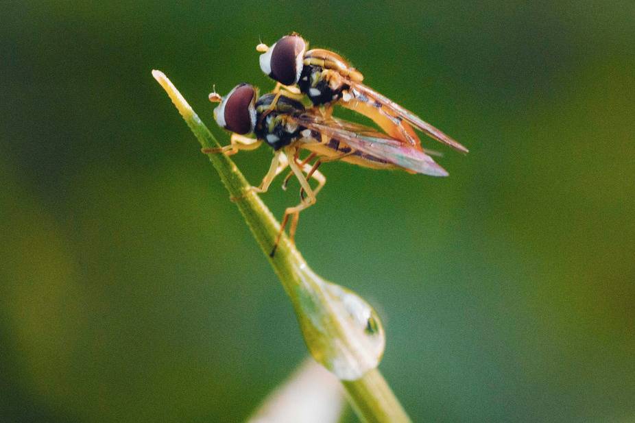 Isi's Photography