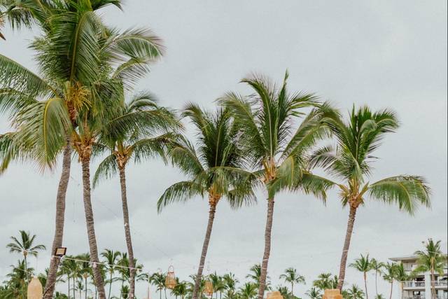 The Fairmont Orchid, Hawaii