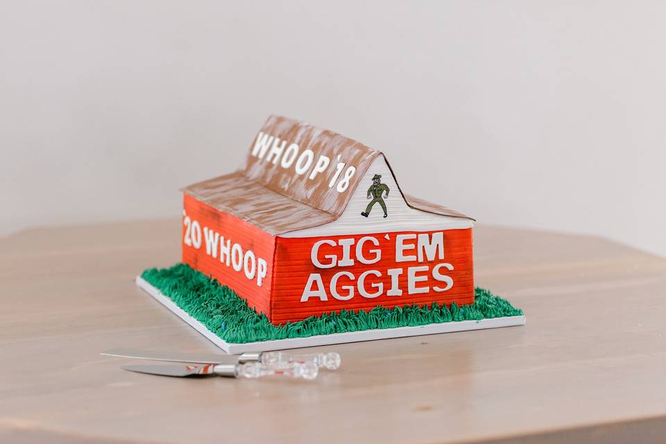 Custom Groom's College Cake