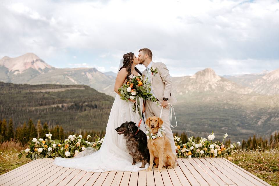 Wedding pups