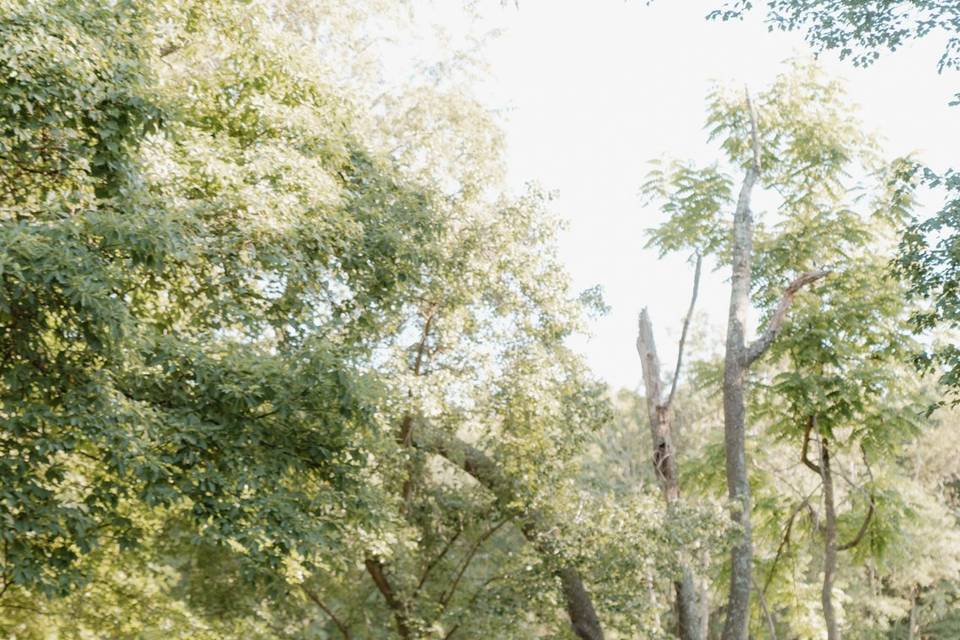Wedding photography designed f