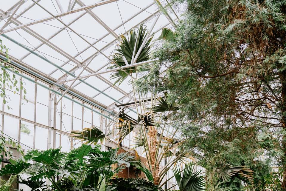 Wedding photography — venue