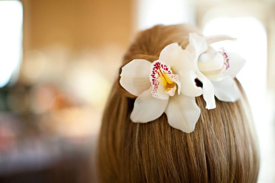 Celestines Special Occasions