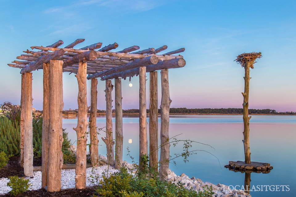 Driftwood Arbor with Lights