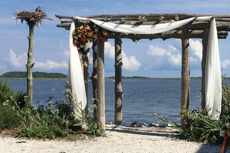 Driftwood Arbor