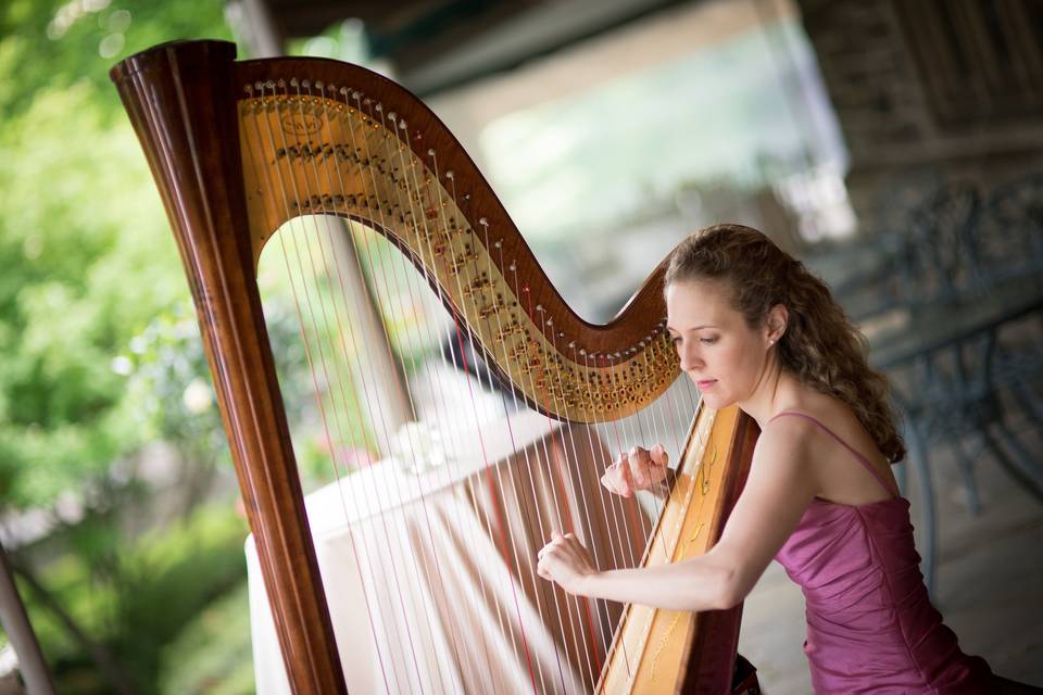 Kate Rogers, Harpist