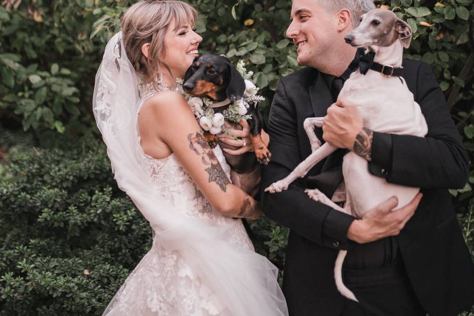 Puppies!