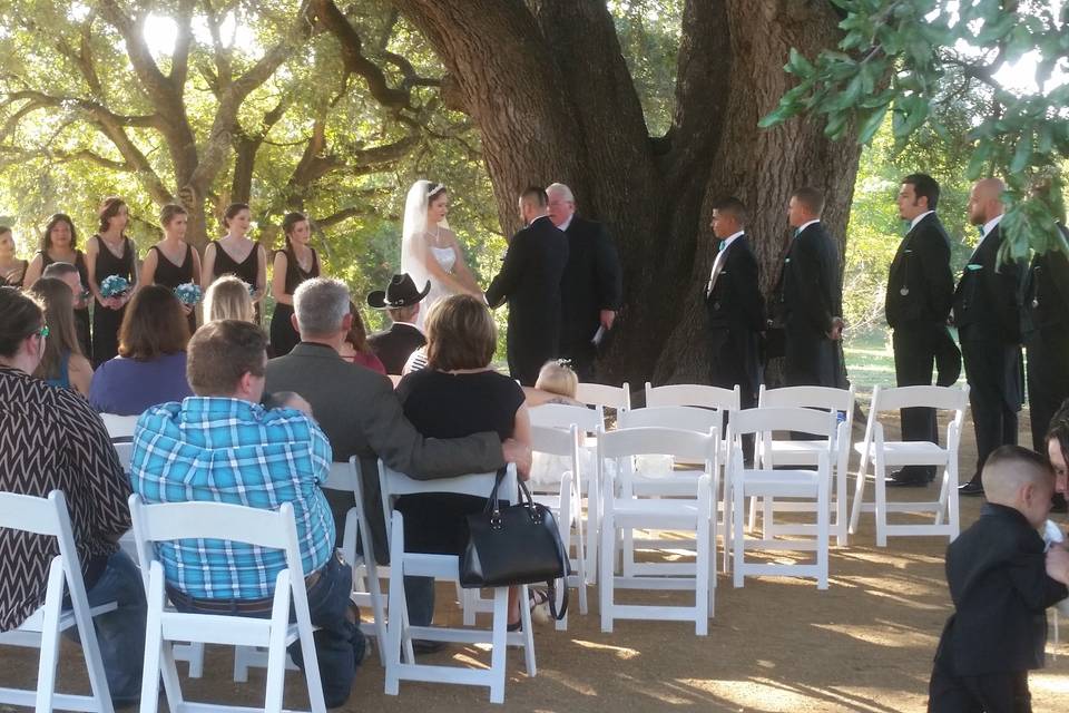 Wedding