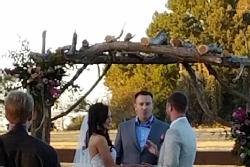 Wedding