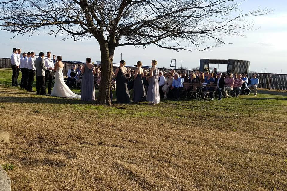 Wedding