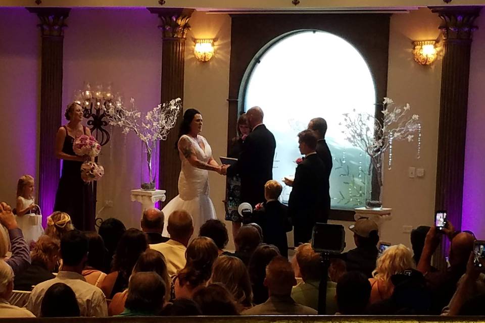 Wedding