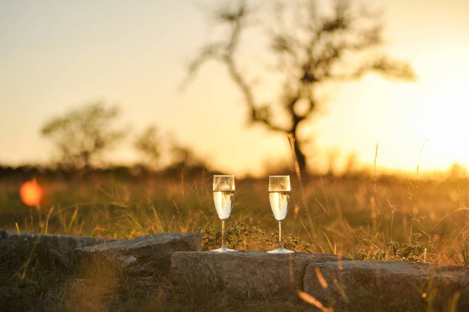 Champagne Toast at Sunset