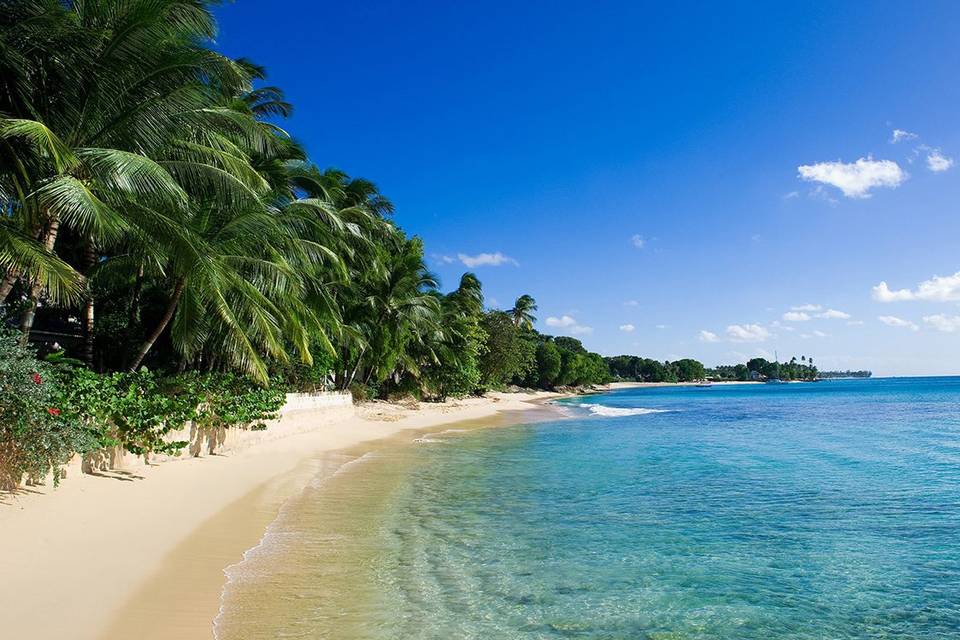 Barbados Honeymoons!