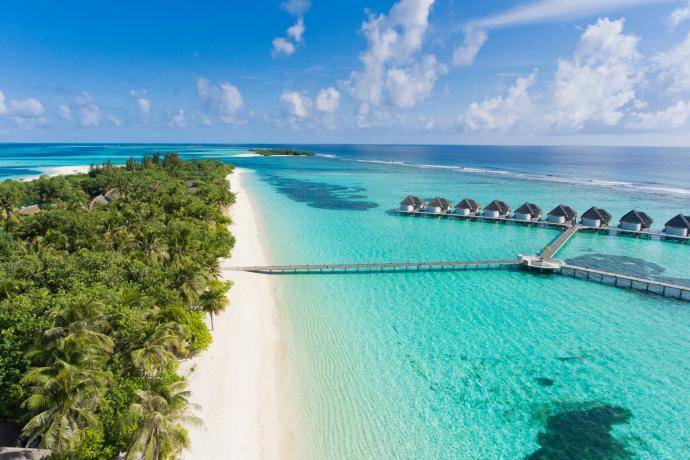 Maldives Honeymoons!