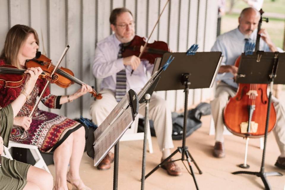 The Quartet outdoors