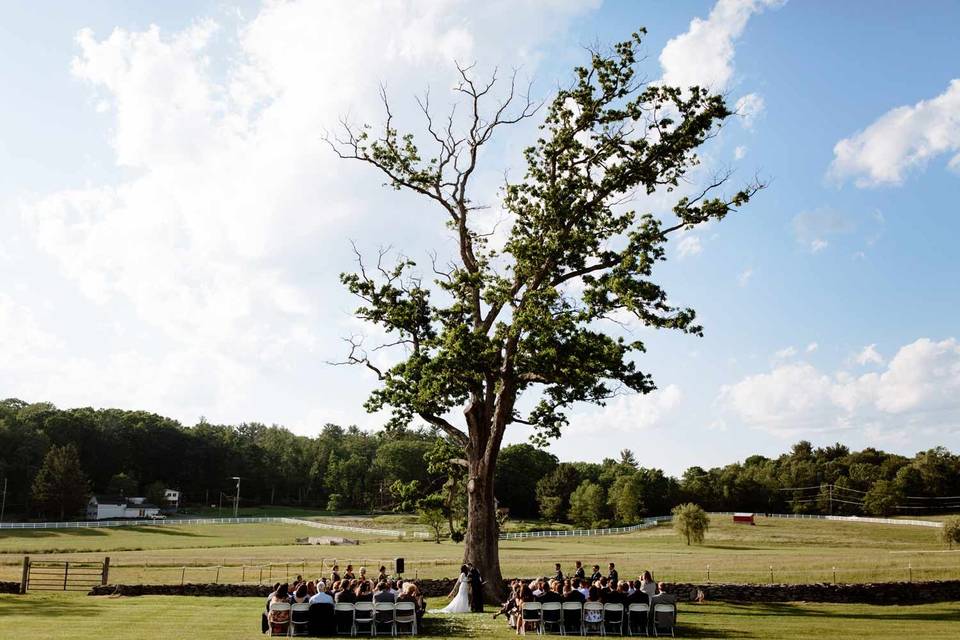 Ceremony at Friedman Farms