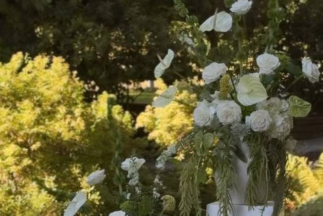 Pedestal arrangements