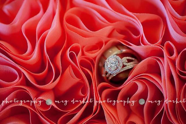 Meg Darket Photography