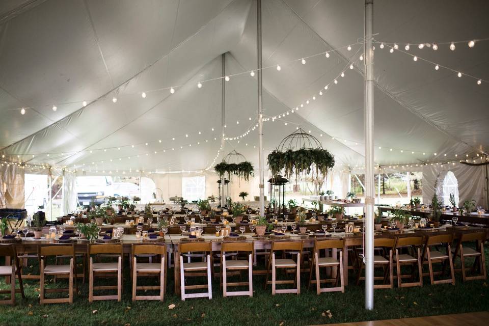 Tent and chandeliers