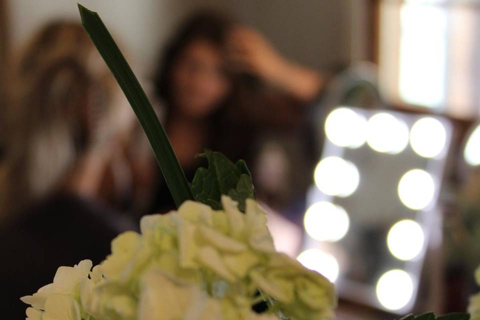 Sneak Peak