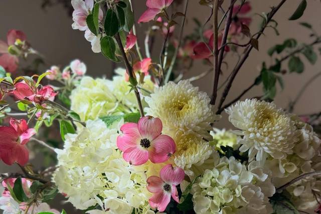 Dogwood 2