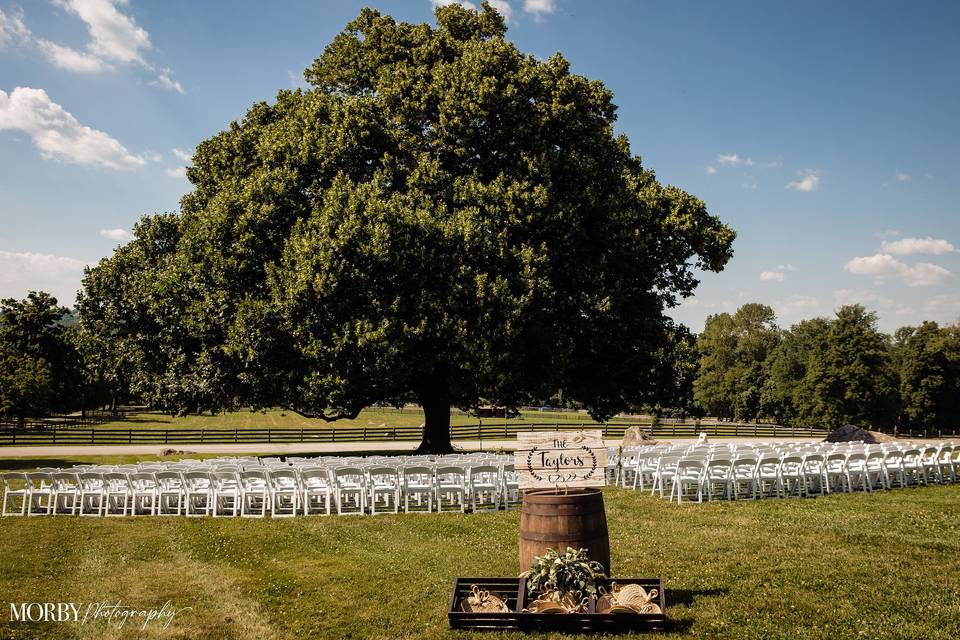 Wedding Ceremony