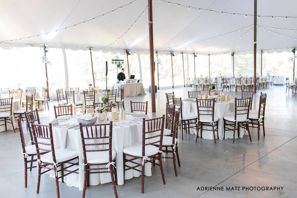 Reception setup