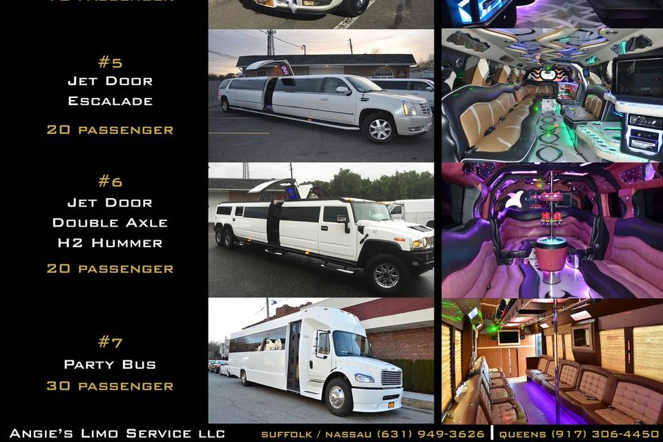 ANGIE'S LIMO SERVICE LLC