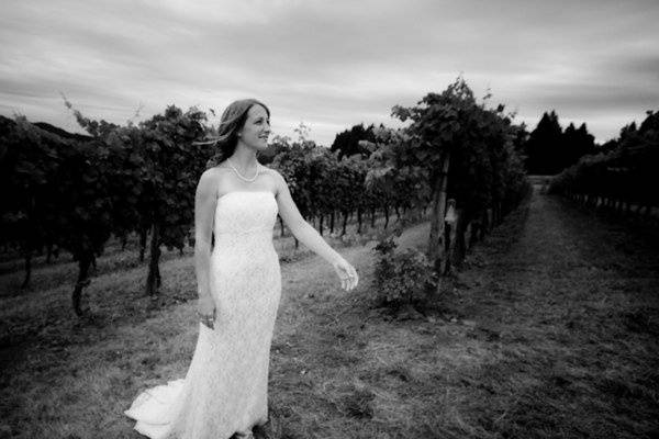 Tom Reeves Photography